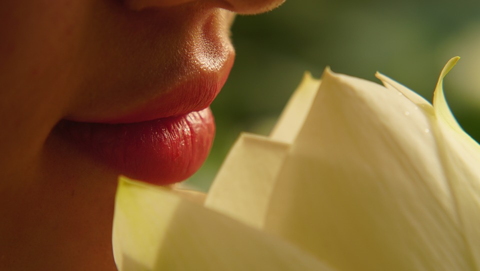 close up portrait of woman's lips
