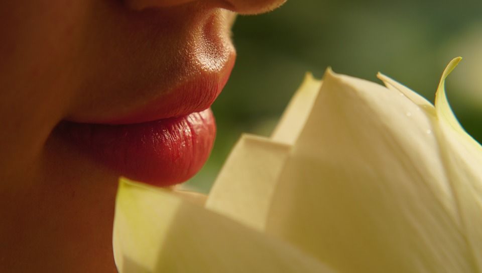 close up portrait of woman's lips
