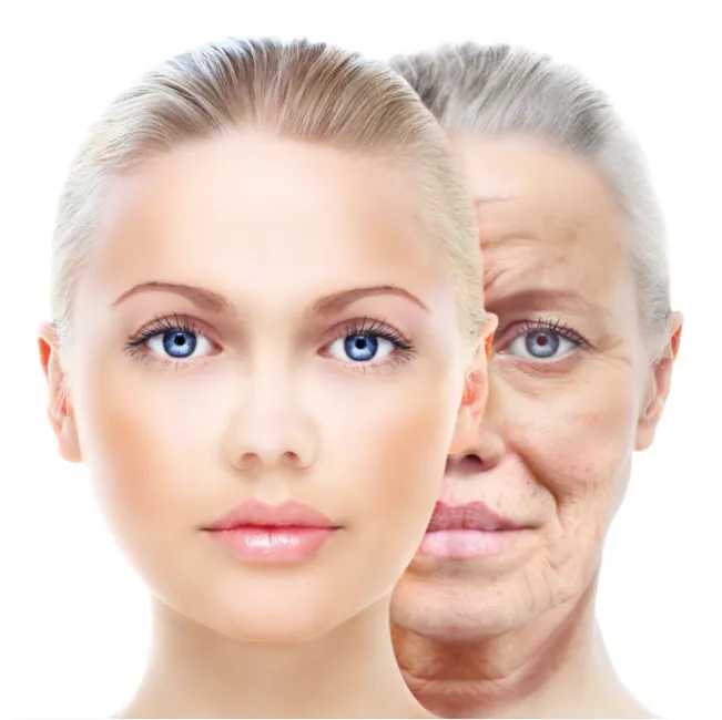 3D-Facelift (1)